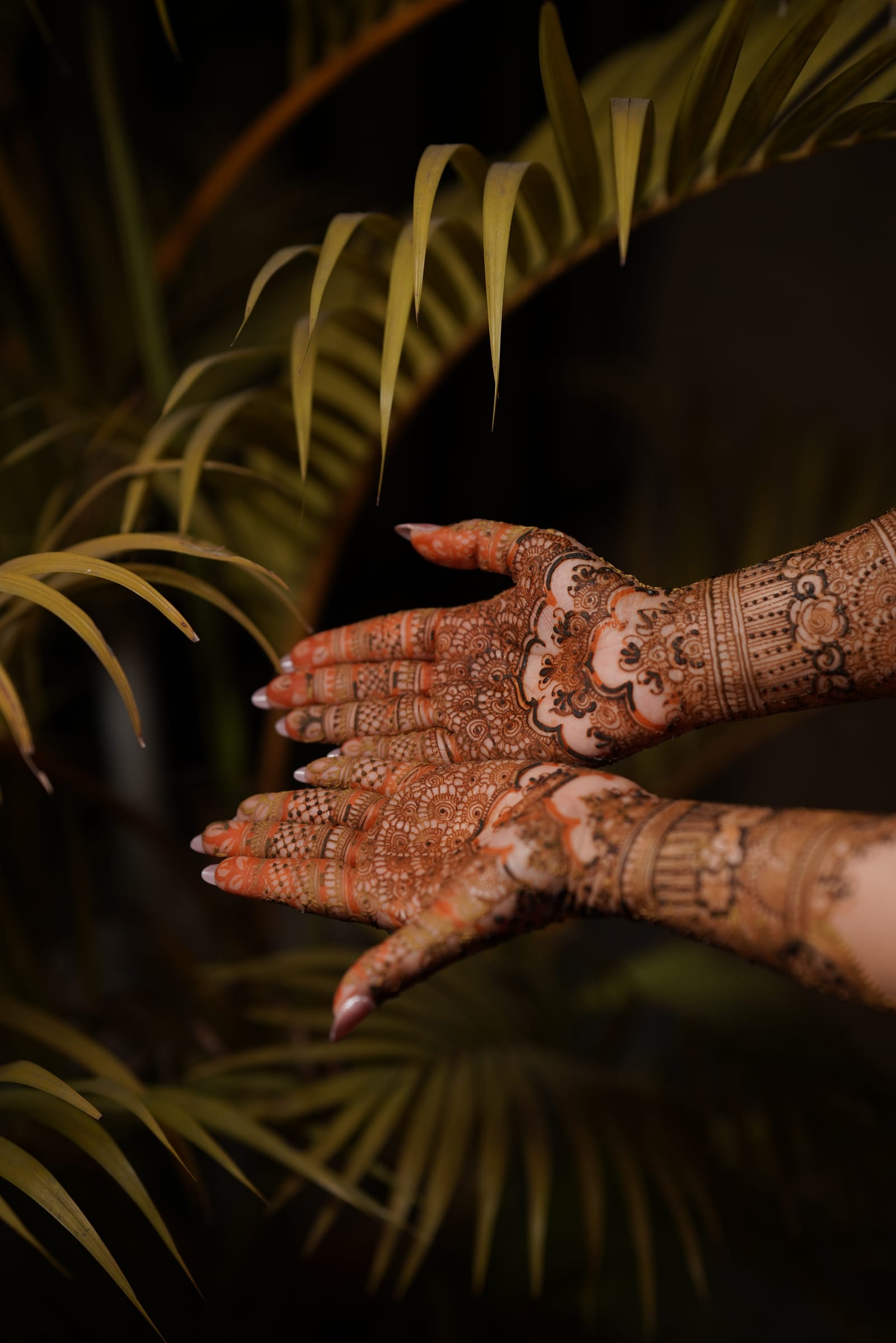Karwa Chauth Mehandi Celebration — portfolio 3